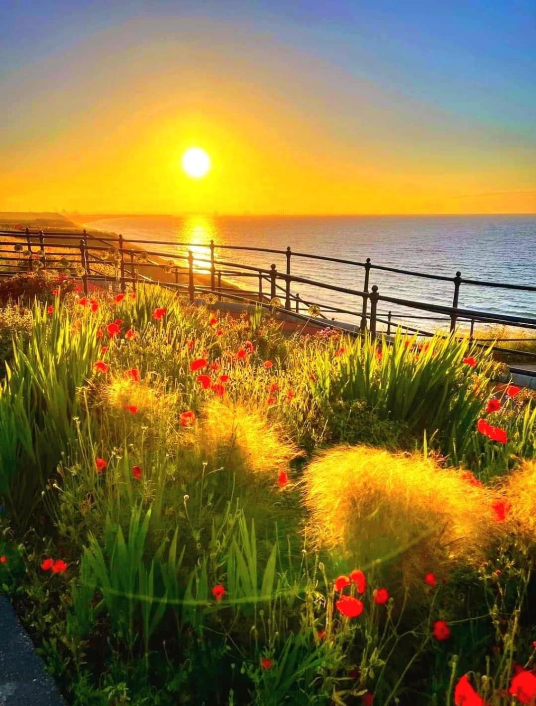 Captain'S Deck Beach Balcony Perfectlysaltburn Saltburn-by-the-Sea Exterior foto